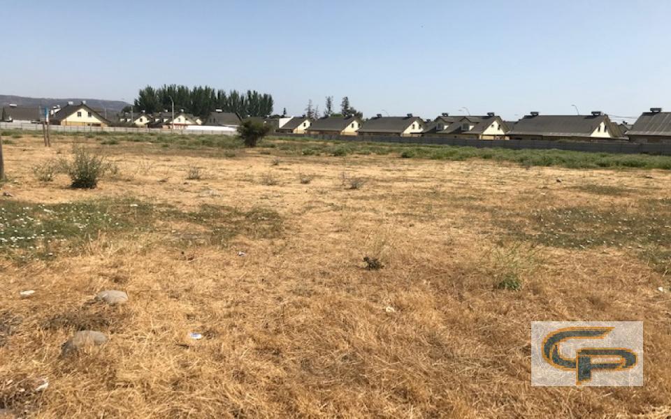 Molina - Los Aromos — foto 1