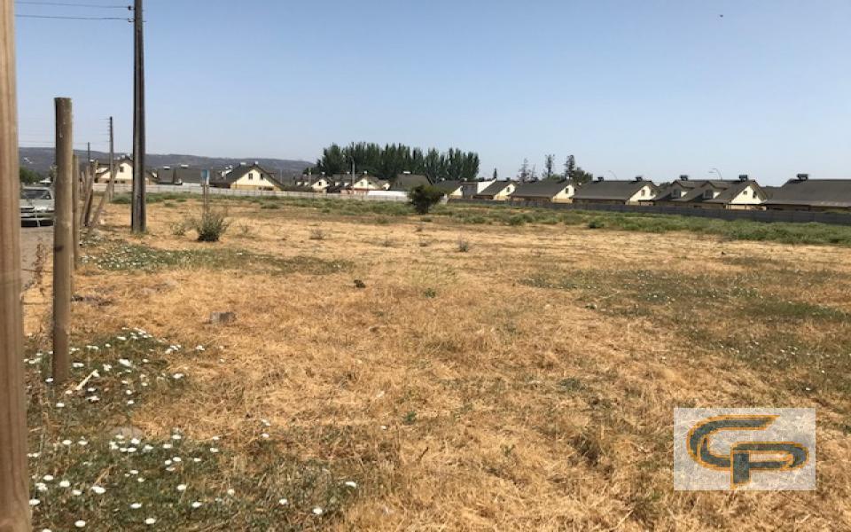 Molina - Los Aromos — foto 3