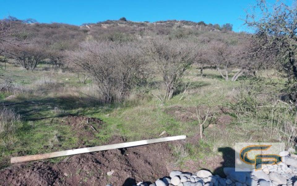 Cerro Los Cristales - sector Zapallar — foto 2