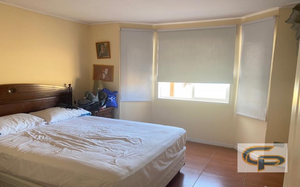 Valle Lumaco - Lote 81 — foto 5