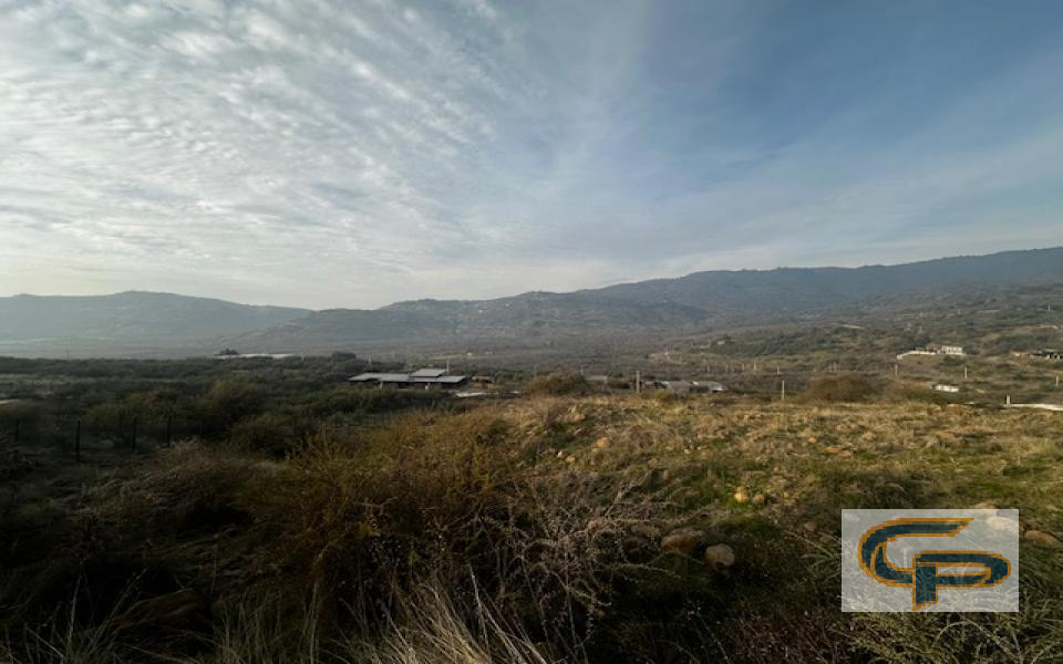 Zapallar -  Casa Parque sitio 232-A — foto 3