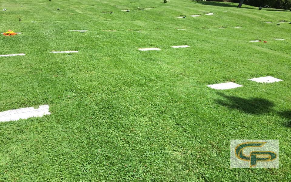 Cementerio Parque Curicó — foto 1