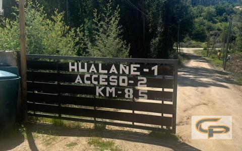 Hualañe - Camino El Sauce Km 8,5